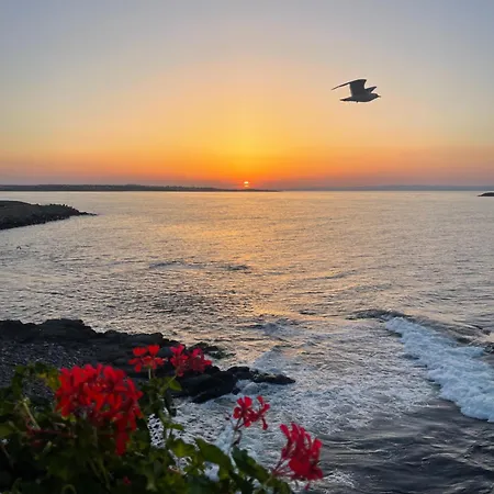 Amara Santa Marina, *